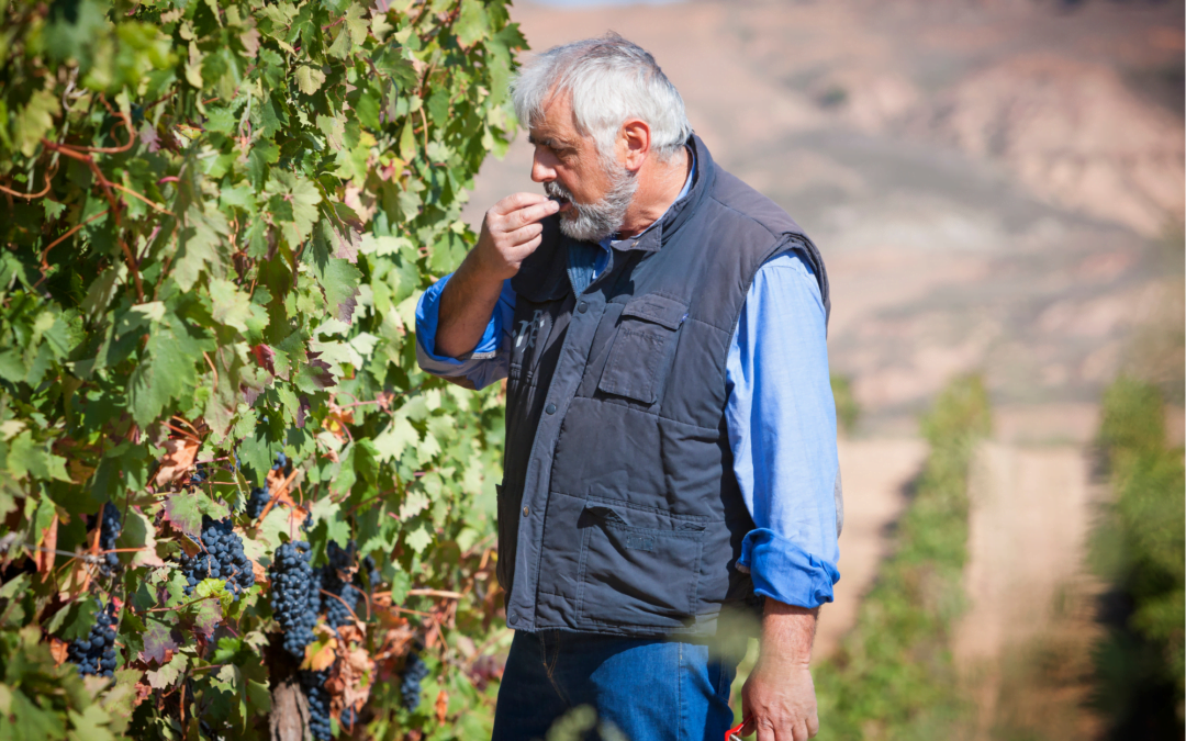 “Nuestros vinos se impregnan de las características del valle y sus habitantes”