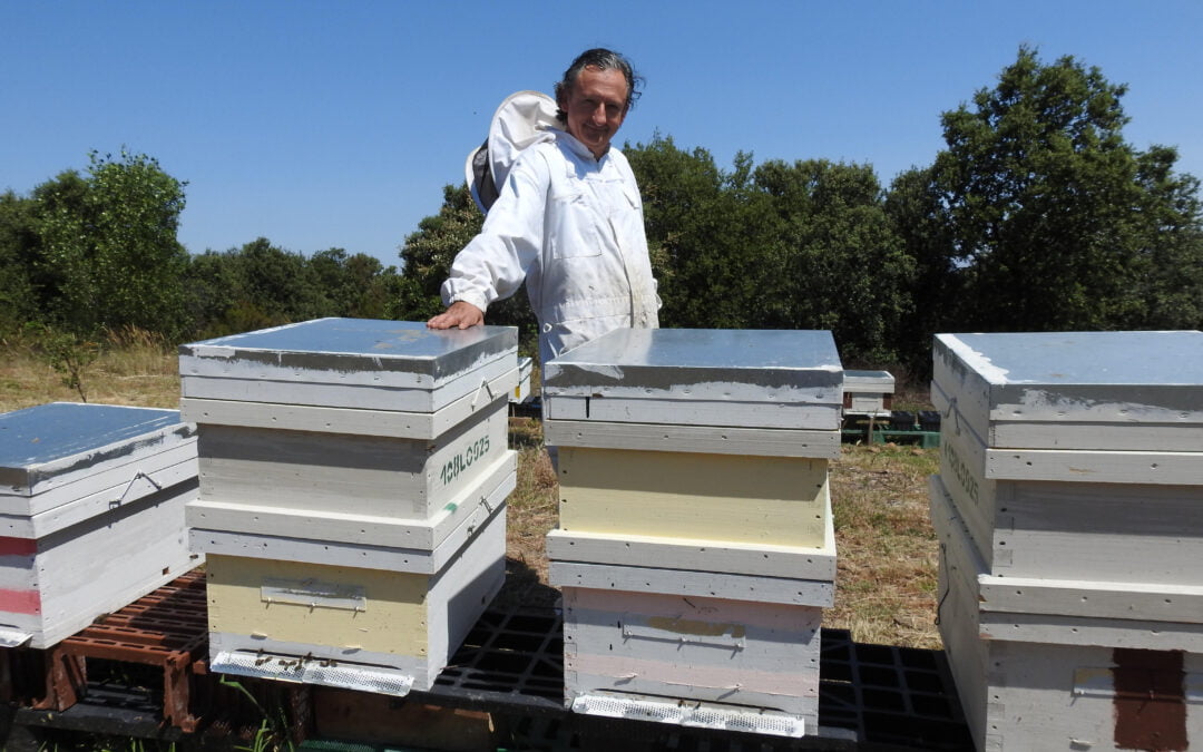 “Venir al Valle a ver a las abejas en acción es una actividad fascinante”