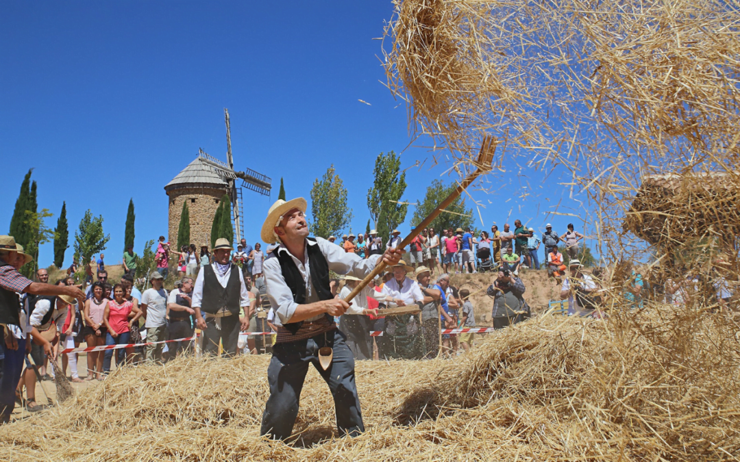 XVI Fiesta de la Molienda