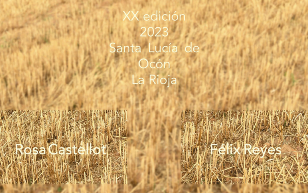 Arte en la Tierra, XX Edición